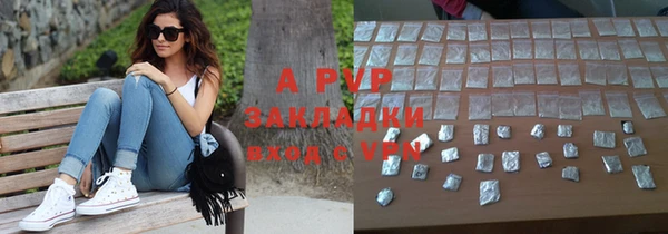 сатива Лысково