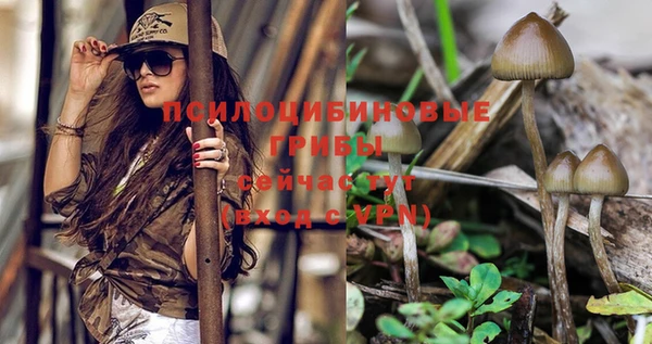 прущая мука Пересвет