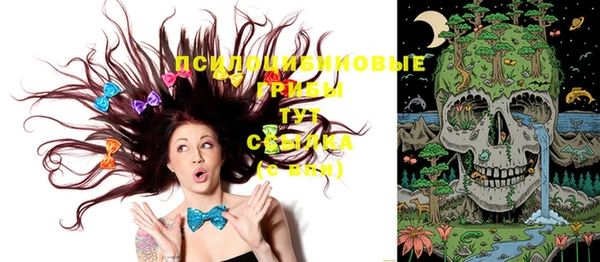 соль ск Дмитров