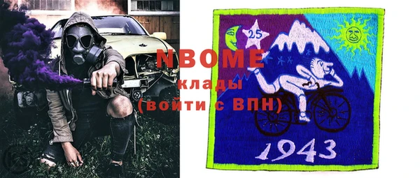 соль ск Дмитров