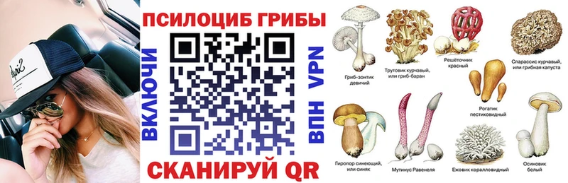 Галлюциногенные грибы Psilocybine cubensis Окуловка